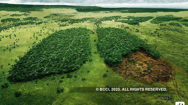 Creative advertisements with social messages