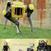 boston dynamics cursing robot