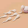 ​Can precum make you pregnant?