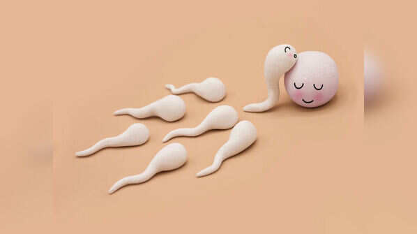 Can precum make you pregnant?