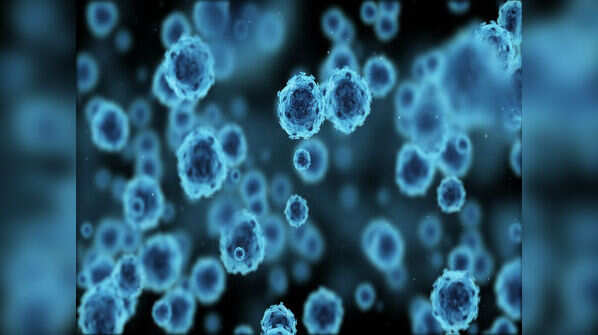 Risk of genital herpes?
