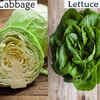 Image of Brassicas and lettuce