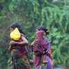 Rains lash Navi Mumbai