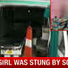 Article image for: MP: Stung by scorpion, girl dies as ambulance gets stuck in wedding procession