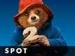 Movie Clip | 1 - Paddington 2