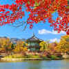 Article image for: See the latest photos of <i class="tbold">south korea</i>