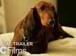 Official Trailer - Wiener Dog