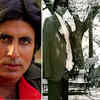 Amitabh Bachchan gets nostalgic, shares throwback pictures of himself