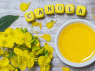 Revealed! Canola oil may cause serious health issues