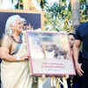 Article image for: Salman Khan and Katrina Kaif grace Bina <i class="tbold">kak</i>’s book launch
