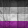 What does demisexuality mean?
