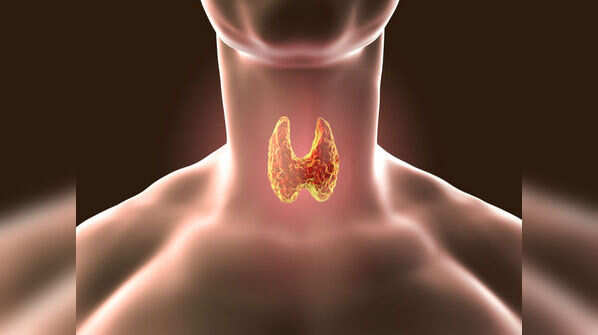 Thyroid
