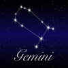 ​Gemini: Atkins diet