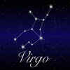 Article image for: Virgo: <i class="tbold">south beach</i> diet