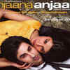 Anjaana Anjaani (2010)