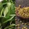 These 8 natural foods can actually help prevent baldness