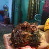 ​Braid cutting rumours