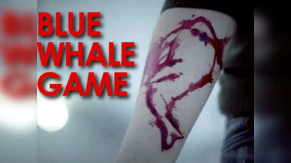 Blue whale challenge