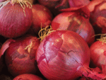 What is red onion?