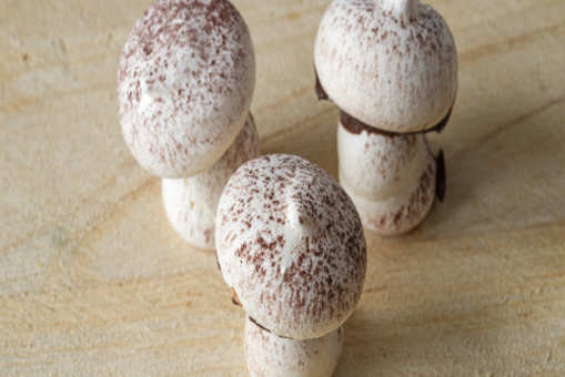 French Mushroom Meringues