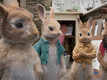 Movie Clip - Peter Rabbit