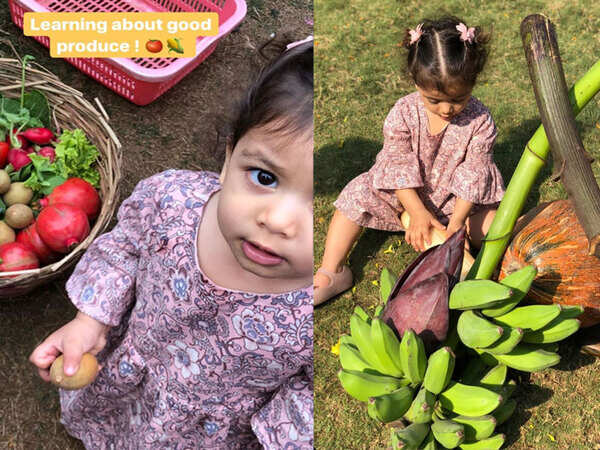 Misha Kapoor