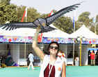 Designer kites steal the show at Kite Festival in Ahmedabad