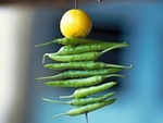 Hanging nimbu-mirchi