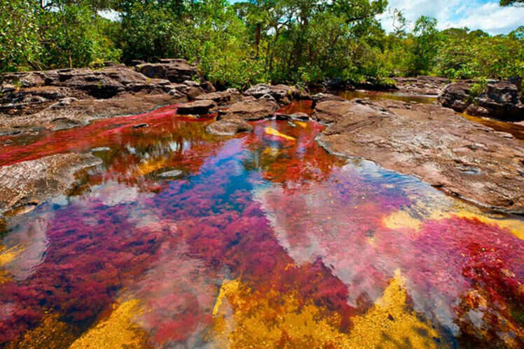 colombia s rainbow river rainbow river in colombia might be your