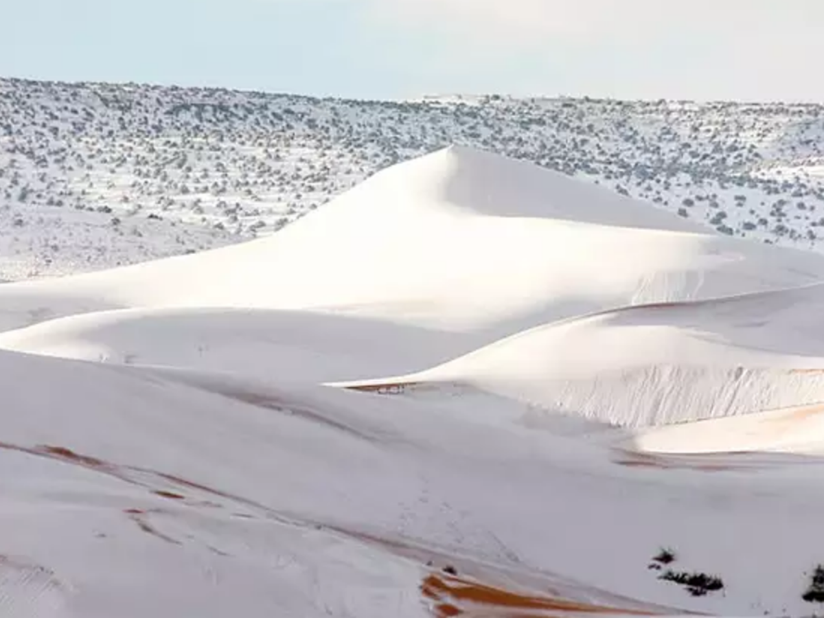 Sahara Desert Snowfall In Sahara Desert A Rare Thing That Happened In 18 Times Of India Travel