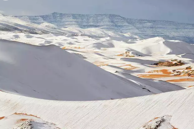 Sahara Desert Snowfall In A Rare Thing That Sahara Desert