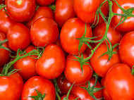 Tomato can help fight stomach cancer!