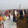 Article image for: Thousands of devotees take <i class="tbold">holy dip</i> at sangam on first day of Makar Sankranti