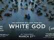 White God - Official Trailer