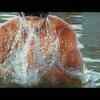 Article image for: <i class="tbold">fateh</i> Trailer