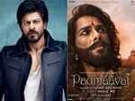 Shah Rukh Khan- 'Padmaavat'