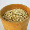 Amaranth the Indian superfood