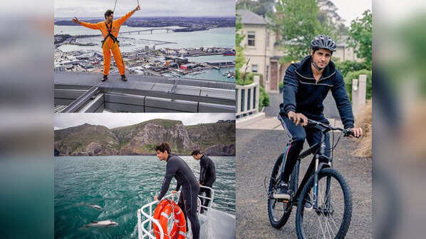New Zealand diaries