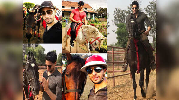 For the love of horses