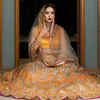 Article image for: <i class="tbold">sonalika pradhan</i>