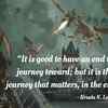 On life's goal and the way there