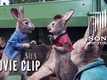 Peter Rabbit - Movie Clip