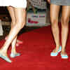 Article image for: Trending photos of <i class="tbold">crocs</i> on TOI today