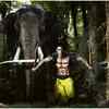 Homage to the elephant God