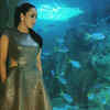 Article image for: Click here to see the latest images of <i class="tbold">sonalika pradhan</i>