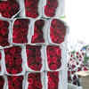 Article image for: Different varieties of roses in market, florists gear up for Valentine's Day