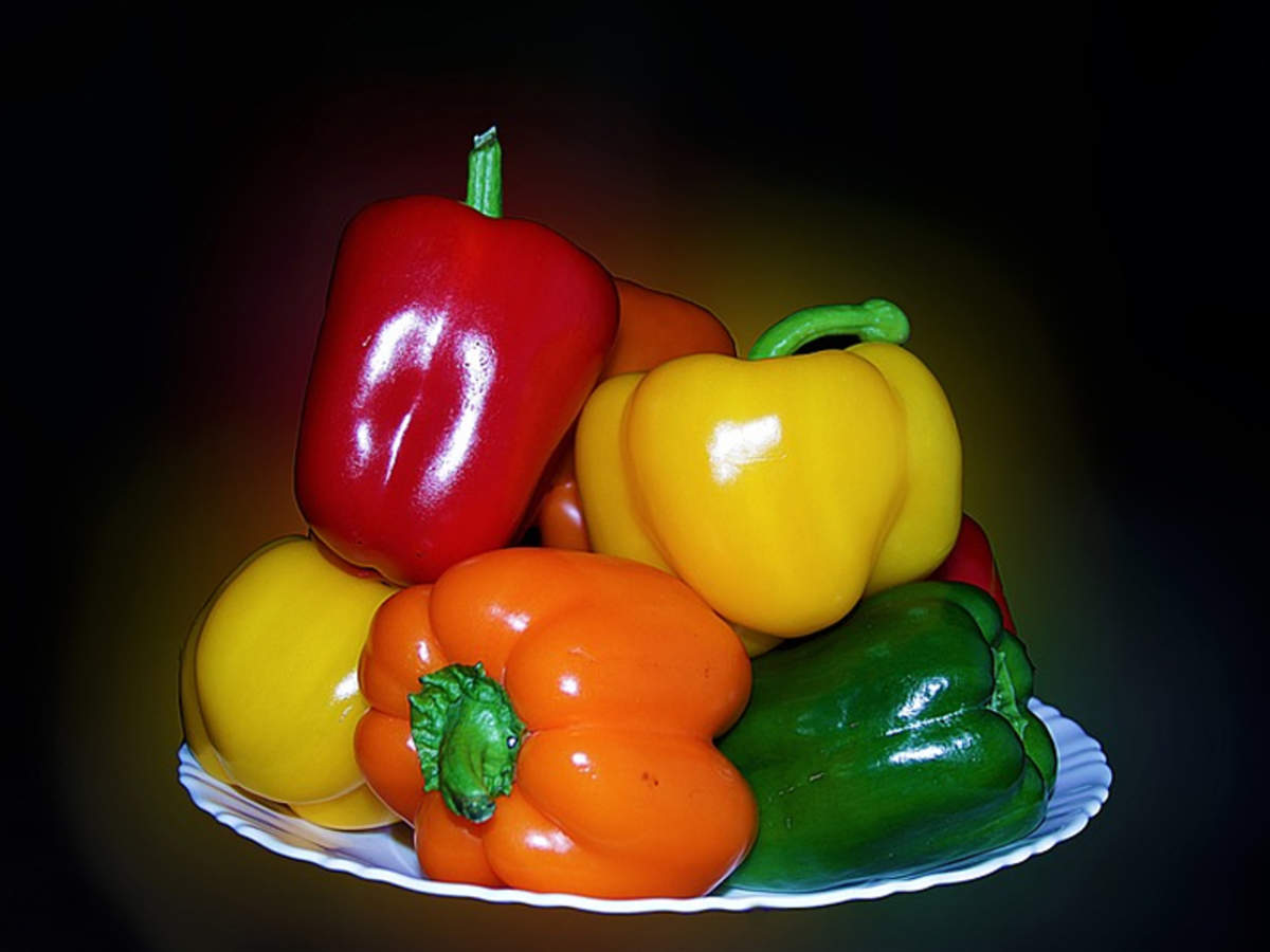 Difference Between Red Yellow Orange And Green Capsicum The Times Of India
