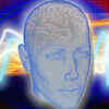 The role of your brain
