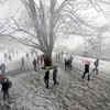 Snowfall in Himachal Pradesh