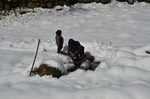 Mesmerising photos of fresh snowfall in Jammu and Kashmir